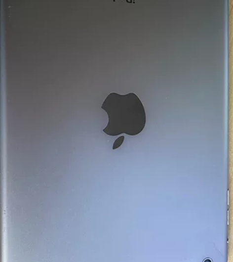 ipad mini1，16g储存，成色还凑...