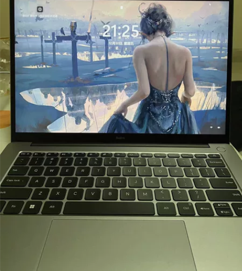 红米redmibook pro14锐龙版 ...