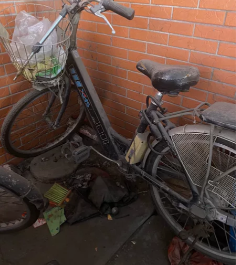 代帮同事出售、喜德盛电动车V48锂电 轮胎...