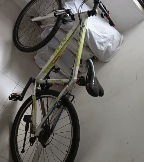 出闲置喜德盛越野山地车，定位东莞蛤地地铁站...