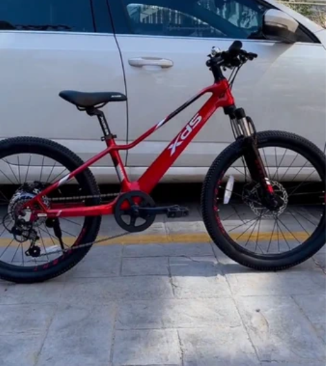 喜德盛镁骑士青少年儿童自行车18寸20寸2...