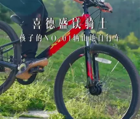 喜德盛（xds） 喜德盛山地车，镁骑士24...