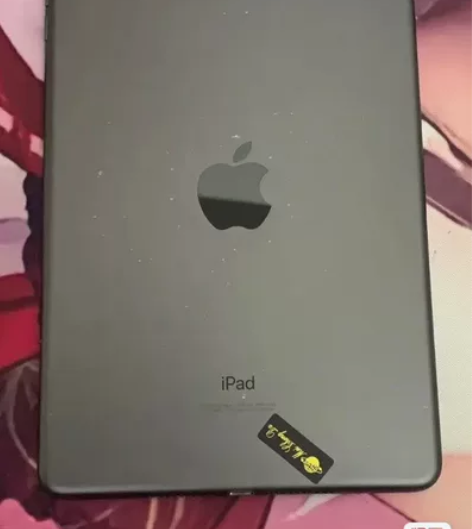 Apple/苹果 iPad mini5 2...