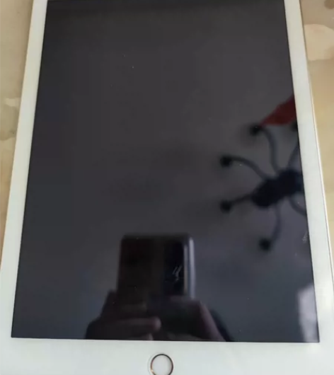 iPad 5 (2017) 9.7英寸 存...