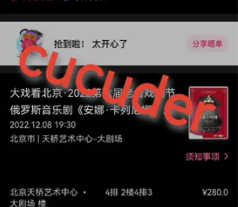 北京12.8 19：30 安娜卡列宁娜音乐...