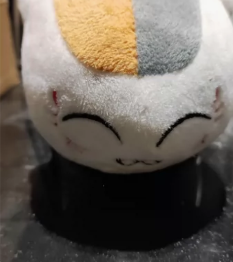 猫咪老师 感兴趣的话点“我想要”和我私聊吧～