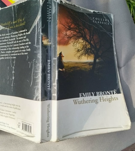 出本书，呼啸山庄英文。 感兴趣的话点“我想...