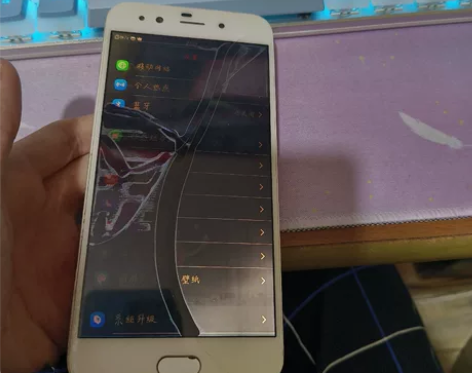 vivo X9plus，64g，屏幕漏液了...