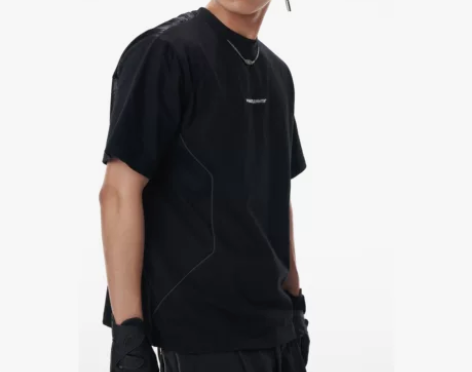 WHISTLEHUNTER(WSTHT)反...