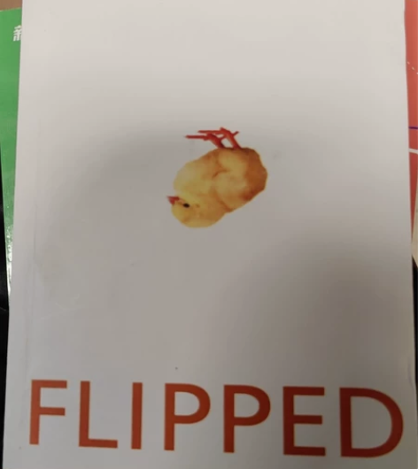 怦然心动英文原版书籍，提升英语必备，全新未...