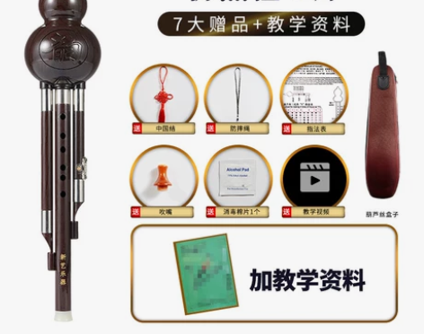 新艺葫芦丝 乐器 初学成人儿童学生初学者c...