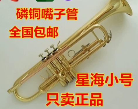 原装正品星海牌小号乐器磷铜管降B调送配件初...