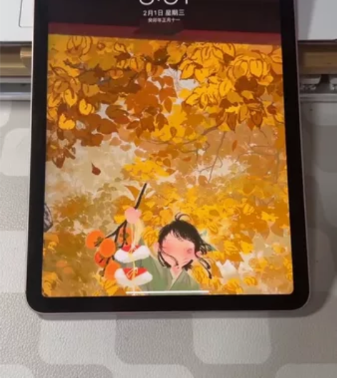 14.2系统iPad Air4 2020款...