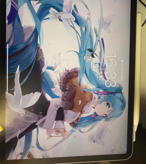 iPad Pro2021版，21年七月份买...