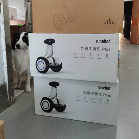 Ninebot九号平衡车Plus 双轮智能...