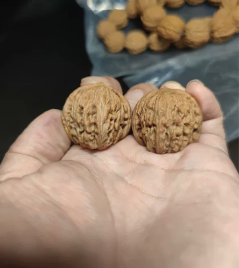 野生小手捻,找不到第二对,全品三无,配对精...