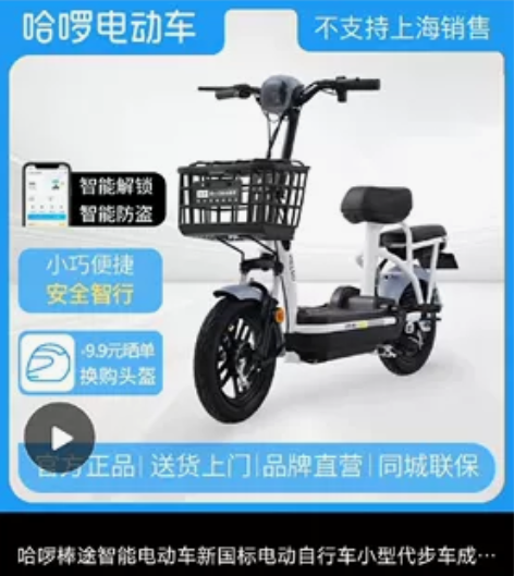 哈喽棒途电动车48v12a  国标电动车。...