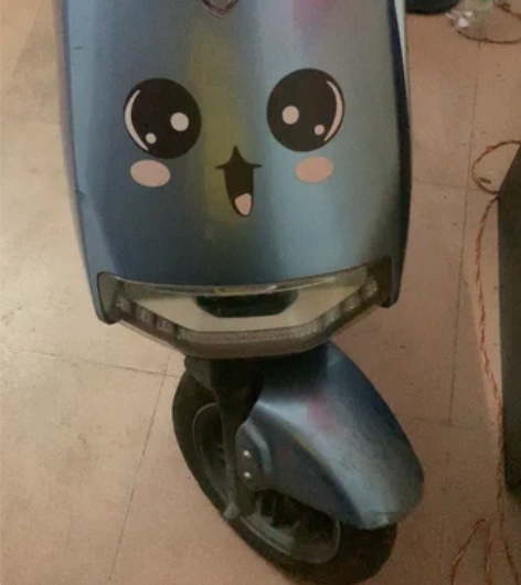 珠村牌坊自提台铃，前后碟刹，改了碟刹和电机...