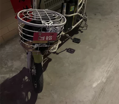 台铃电动自行车 电动车半年前买的，开了两个...