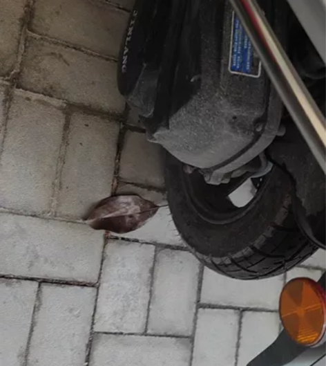 比亚伦摩托,全车九成新,手续齐全可上牌,表...