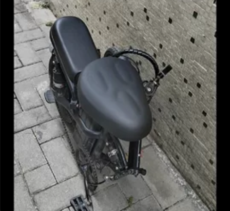 两块电瓶一个车，英国技术普莱德 新国标折叠...