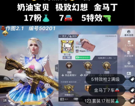 和平精英金马丁，新101，奶油宝贝，极致幻...