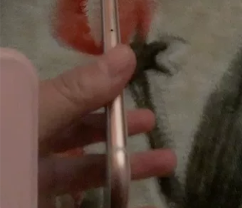 苹果8，64G，电池79 无任何磕碰，维修