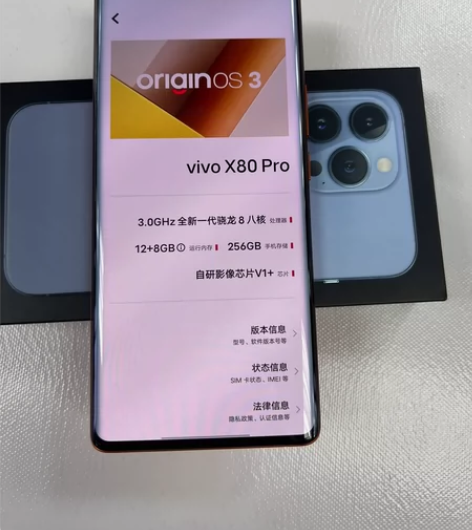 vivo X80 Pro 12+256G旅...