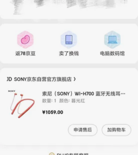 官网入，索尼（SONY）WI-H700 蓝...