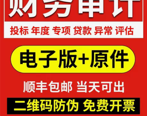 公司投标审计咨询财务年度验资专项清算高新离...