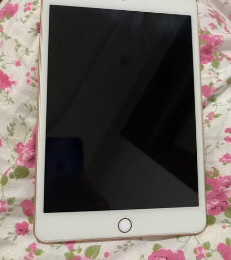 2019款iPad mini5  64g ...