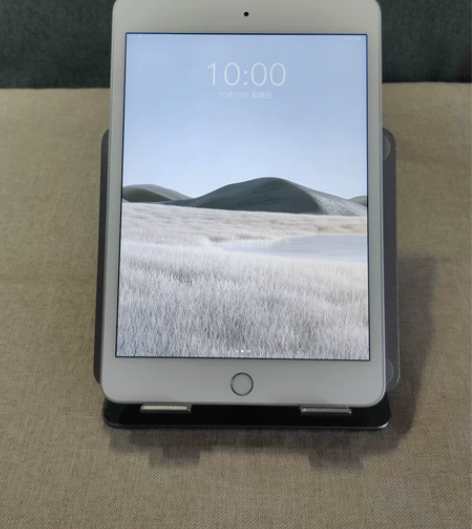 2019款iPadmini5 64G苹果平...