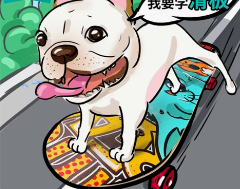 TT滑板 全新 一次没用过 因为狗狗买回来...