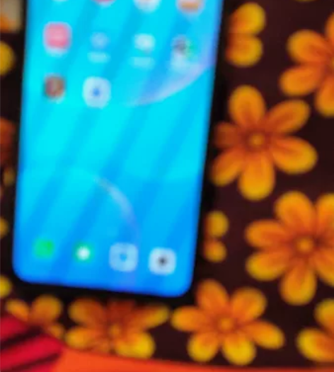 魅族17p 8+128 ,21年夏天狗东...