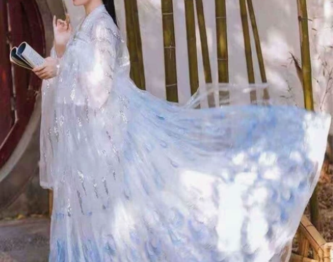 汉服两套不拆 齐胸大袖衫晋制对襟衫齐腰女白...
