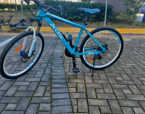 可调速，喜德盛300A自行车，适合170-...