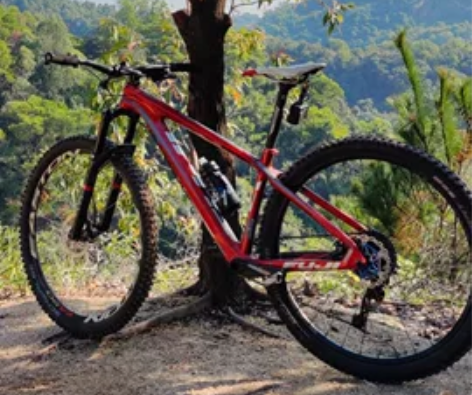 29山地车 FUJI  SLM 2.1 1...