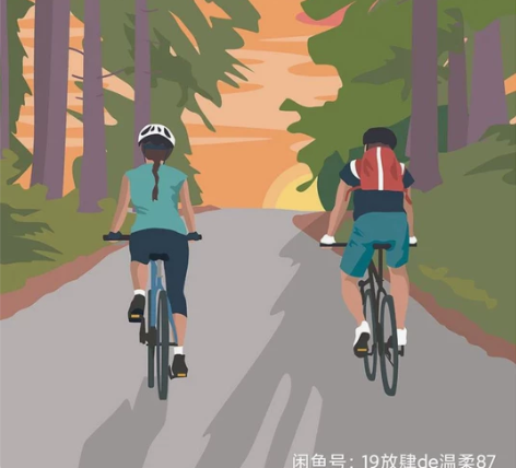 捷安特美利达喜德盛山地车公路车自行车选车服...