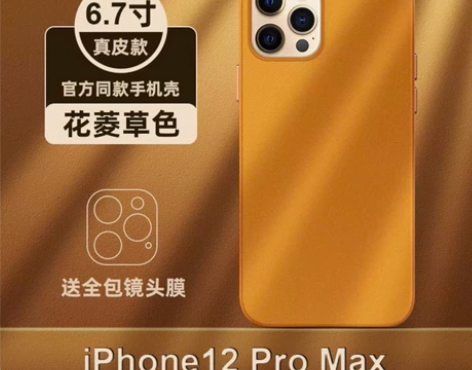 真皮【MagSafe皮革保护壳】冰感苹果1...