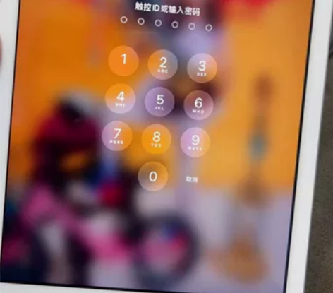 IPad A1822型号 没有花,一直保护...