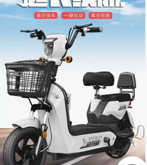 加州豹国标电动车小型电单车，买了半年差不多...