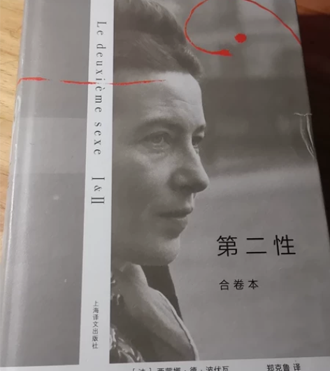 【官方正版】第二性(I+Ⅱ合卷本)精装版波...