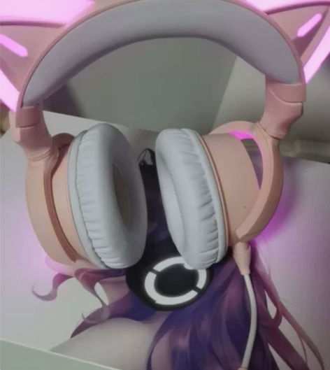 妖舞4 就带了两三天 然后别人送了个别的 ...