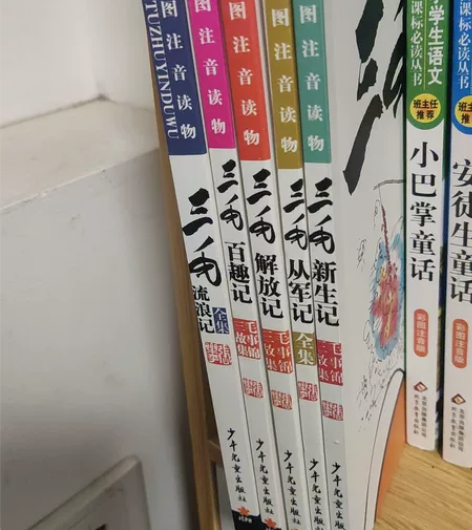 三毛流浪记 童书育儿 全套5册 便宜出给有...