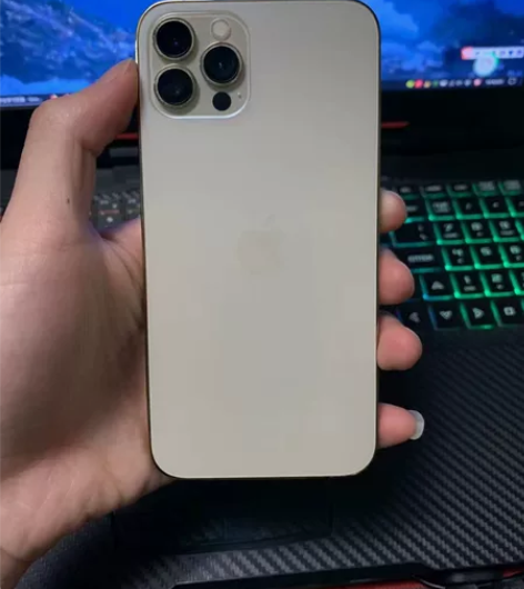 iPhoneX改13Pro金色，64G国行...