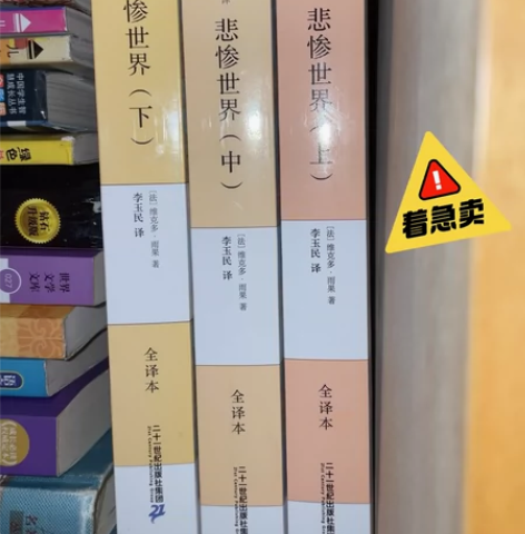 悲惨世界三册 几乎全新没怎么看过可小刀