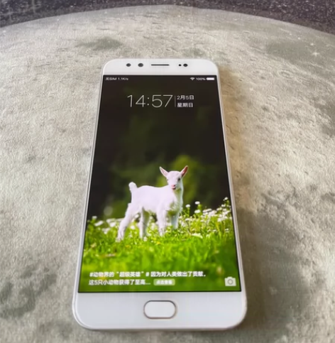 vivo X9plus 6+64 边框有掉...