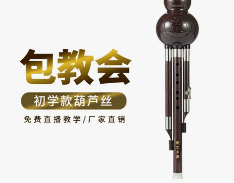 新艺葫芦丝 乐器 初学成人儿童学生初学者降...