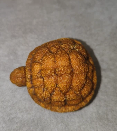 手捏橘皮，柚子皮手把小乌龟，制作时长两个月...
