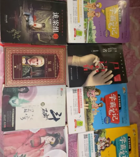 一些小说 简爱 海底两万里 龙王传说 诡案...